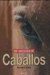 MIL IMAGENES DE CABALLOS