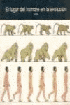 LUGAR DEL HOMBRE EN LA EVOLUCION EL