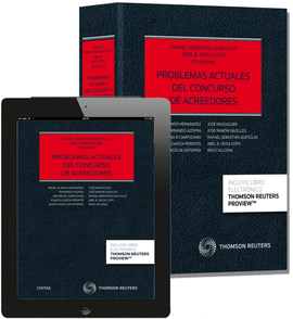 PROBLEMAS ACTUALES DEL CONCURSO DE ACREEDORES (PAPEL + E-BOOK)