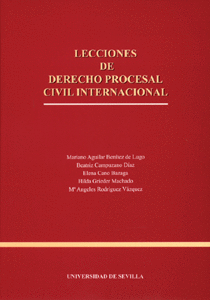 LECCIONES DE DERECHO PROCESAL CIVIL INTERNACIONAL