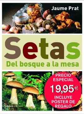 SETAS DEL BOSQUE A LA MESA