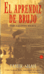 APRENDIZ DE BRUJO PL-308