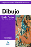 PRUEBAS PRACTICAS DIBUJO Y EJERCICIOS RESUELTOS