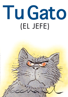 TU GATO EL JEFE