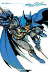 BATMAN ILUSTTRADO POR NEAL ADAMS N� 2