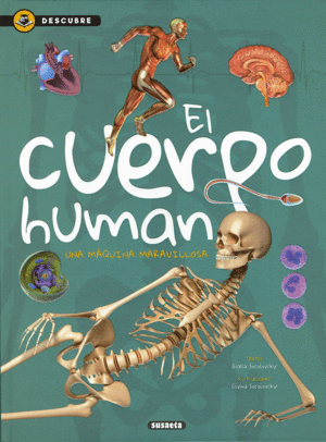 CUERPO HUMANO, EL