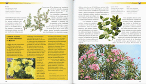 ALUCIN�GENOS, VENENOS Y AFRODIS�ACOS