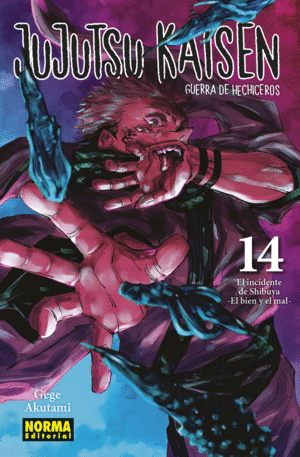 JUJUTSU KAISEN 14 (NUEVA EDICIN)