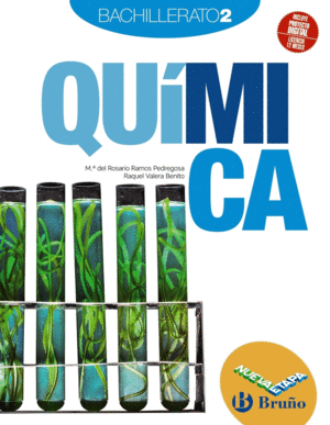 QU�MICA 2 BACHILLERATO NUEVA ETAPA BRU�O