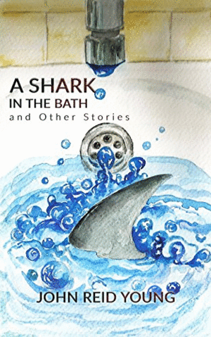 A SHARK IN THE BATH