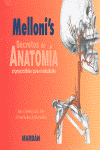 SECRETO DE ANATOMIA