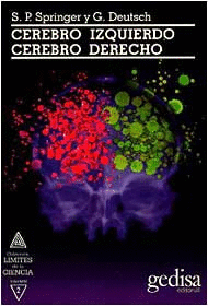 CEREBRO IZQUIERDO CEREBRO DERECHO