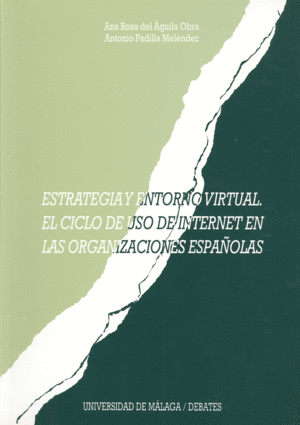 ESTRATEGIA Y ENTORNO VIRTUAL. EL CICLO DE USO DE INTERNET