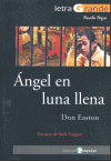 ANGEL EN LUNA LLENA