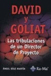 DAVID Y GOLIAT: TRIBULACIONES DE DIRECTOR DE PROYECTO
