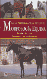 GUIA FOTOGRAFICA TUTOR MORFOLOGIA EQUINA
