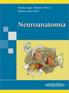 NEUROANATOMIA