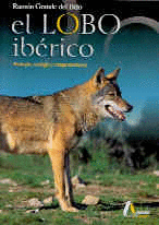 LOBO IBERICO
