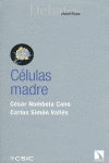 CELULAS MADRE