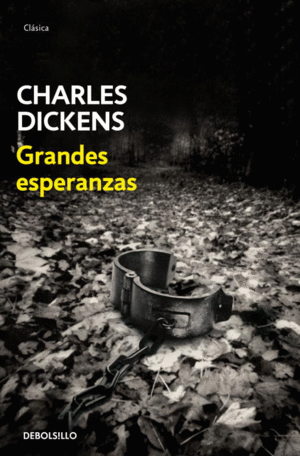 GRANDES ESPERANZAS