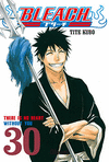 BLEACH 30