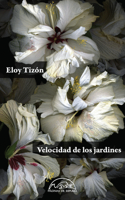 VELOCIDAD DE LOS JARDINES