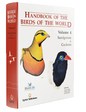 HANDBOOK OF THE BIRDS OF THE WORLD VOL 4