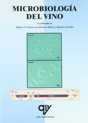 MICROBIOLOGIA DEL VINO