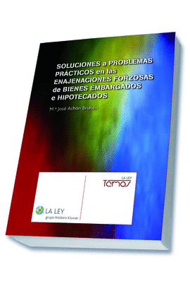 SOLUCIONES A PROBLEMAS PRACTICOS EN ENAJENACIONES FORZOSAS