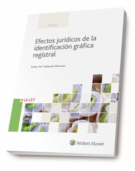EFECTOS JURIDICOS DE LA IDENTIFICACION GRAFICA REGISTRAL