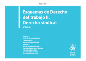 ESQUEMAS DE DERECHO DEL TRABAJO II. DERECHO SINDICAL. TOMO XX. 4 ED.