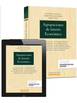 AGRUPACIONES DE INTERS ECONMICO (PAPEL + E-BOOK)