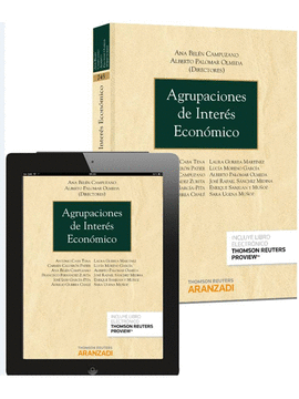 AGRUPACIONES DE INTER�S ECON�MICO (PAPEL + E-BOOK)