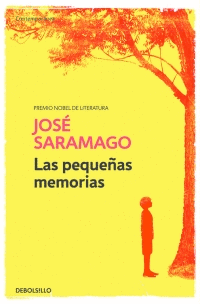 LAS PEQUE�AS MEMORIAS
