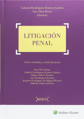 LITIGACION PENAL