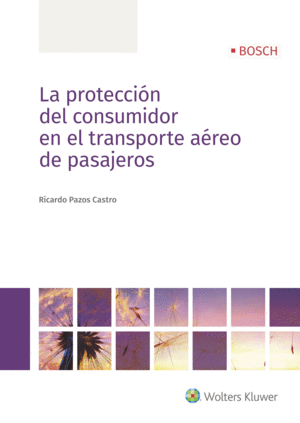 PROTECCION DEL CONSUMIDOR EN EL TRANSPORTE AEREO DE PASAJER