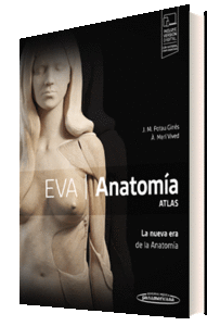 EVA. ANATOMIA. ATLAS (+E-BOOK)