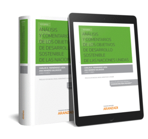ANALISIS COMENTARIOS OBJETIVOS DESARROLLO SOSTENIBLE