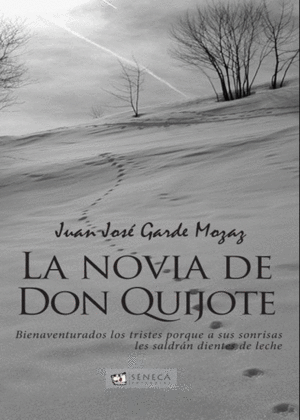 NOVIA DE DON QUIJOTE, LA