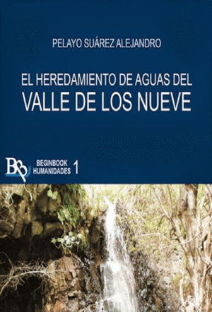 HEREDAMIENTO DE AGUAS DEL VALLE DE LOS NUEVE, EL