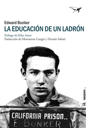 LA EDUCACION DE UN LADRON