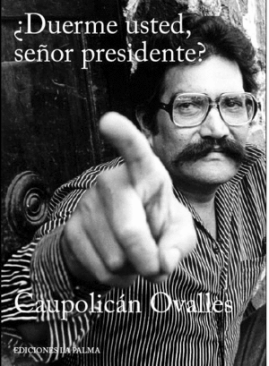 DUERME USTED, SEOR PRESIDENTE?