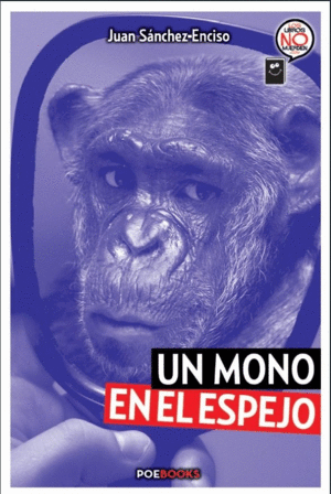 MONO EN EL ESPEJO