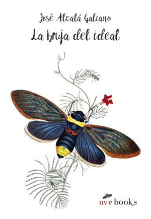LA BRUJA DEL IDEAL