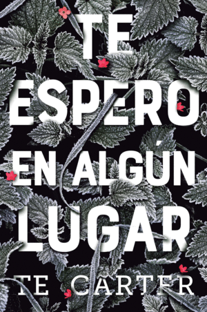 TE ESPERO EN ALG�N LUGAR