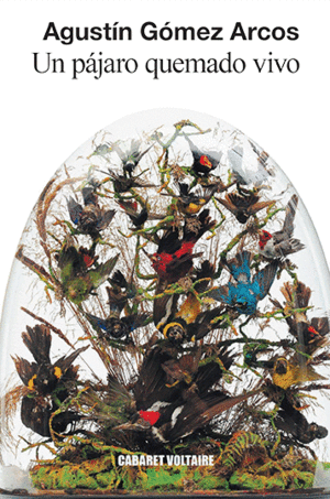 UN P�JARO QUEMADO VIVO