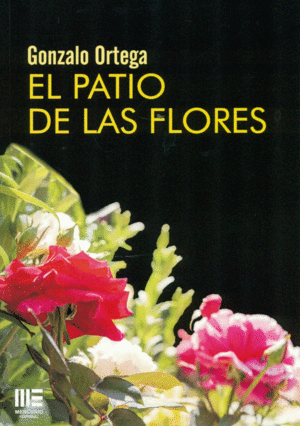 PATIO DE LAS FLORES, EL