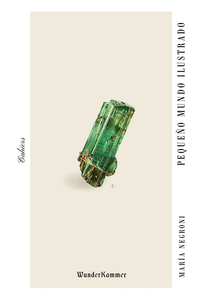 PEQUE�O MUNDO ILUSTRADO