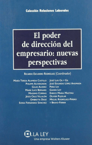 PODER DIRECCION EMPRESARIO NUEVAS PERSPECTIVAS, EL