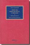 DERECHO DERECHO PENAL Y PROCESO TOMO II